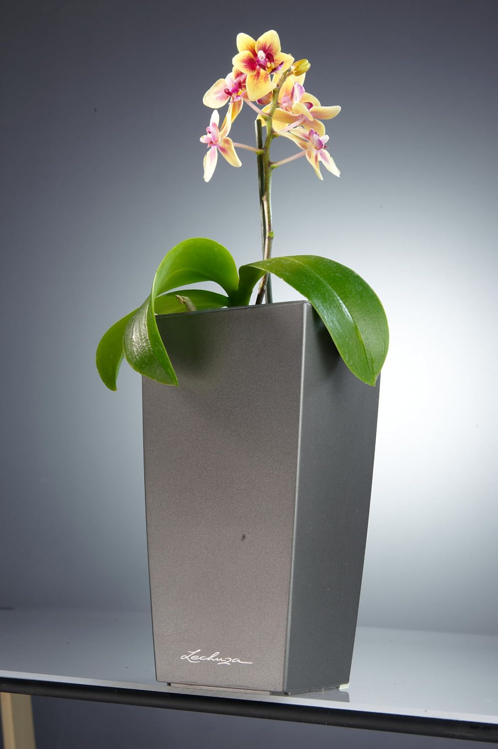 Detalle de LECHUZA Mini Cube 18123 planter, metallic anthracite with watering system