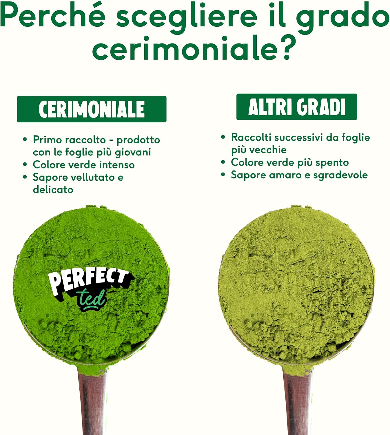 Detalle de Perfect Ted Capsule di Matcha Originale – Pods Bio Compatibili Nespresso