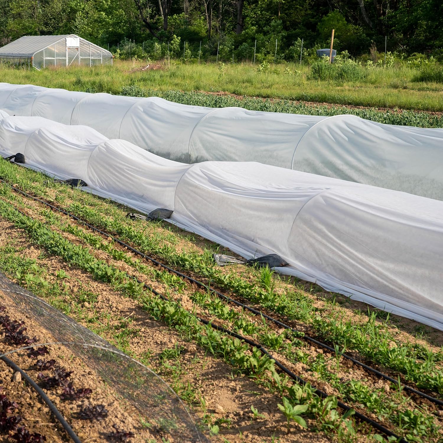 Thumbnail 6 de SORANGEUN 10x30ft Frost Cloth garden cover