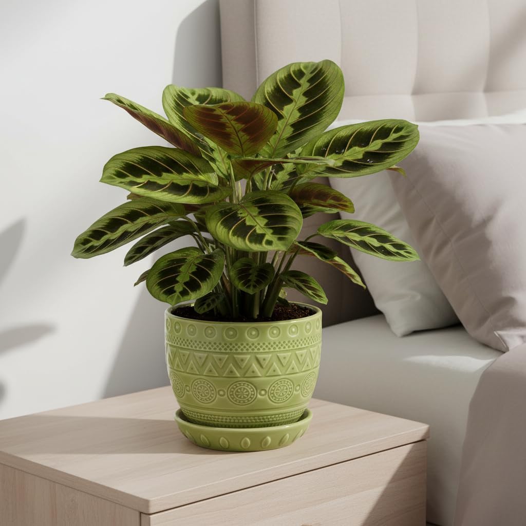 Detalle 2 de EPGardening Ceramic Plant Pot 5.5-Inch