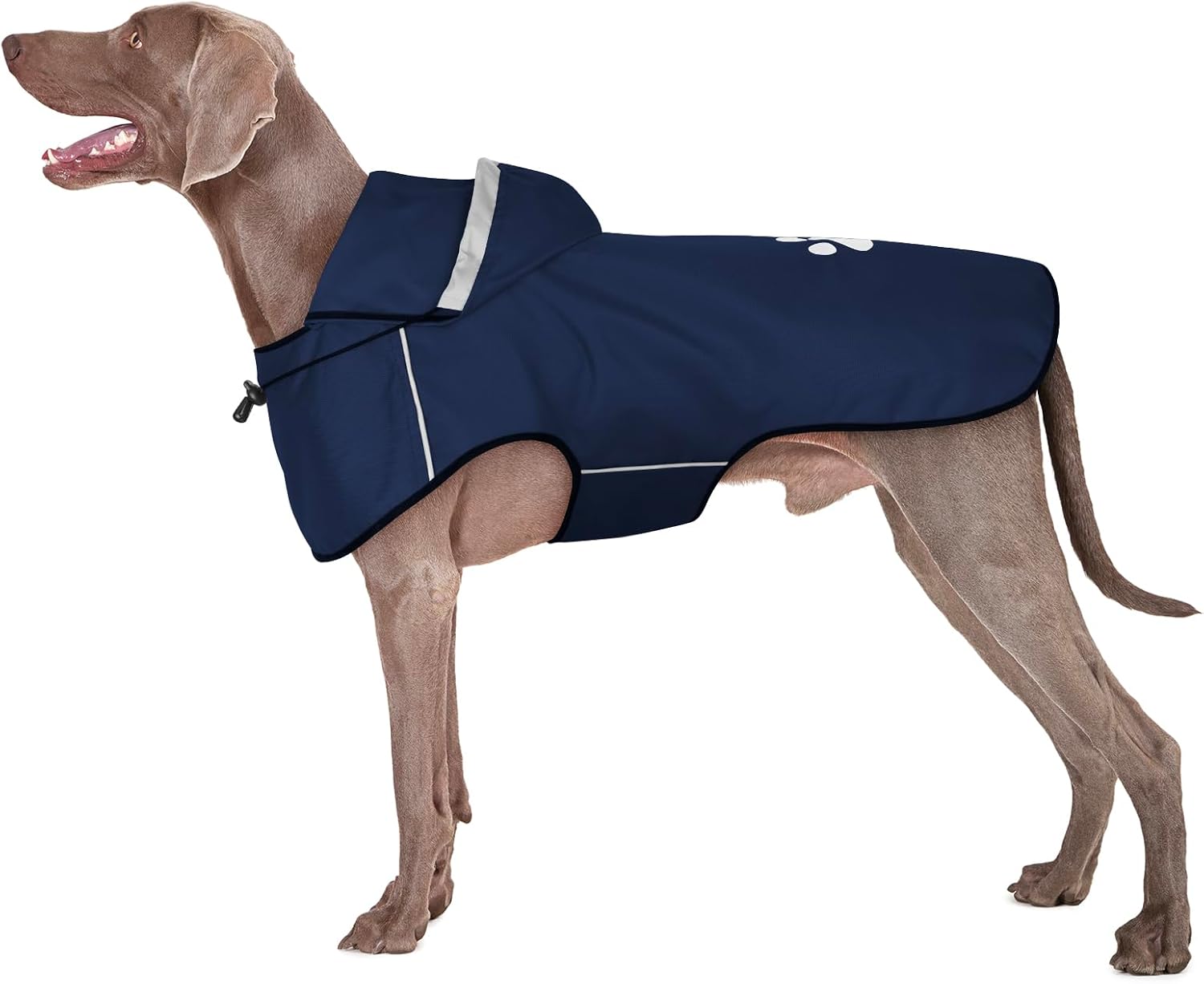 Detalle de BiPawTi Waterproof Dog Coat for Large Dogs (Reflective, Hoodie) – Blue, XL