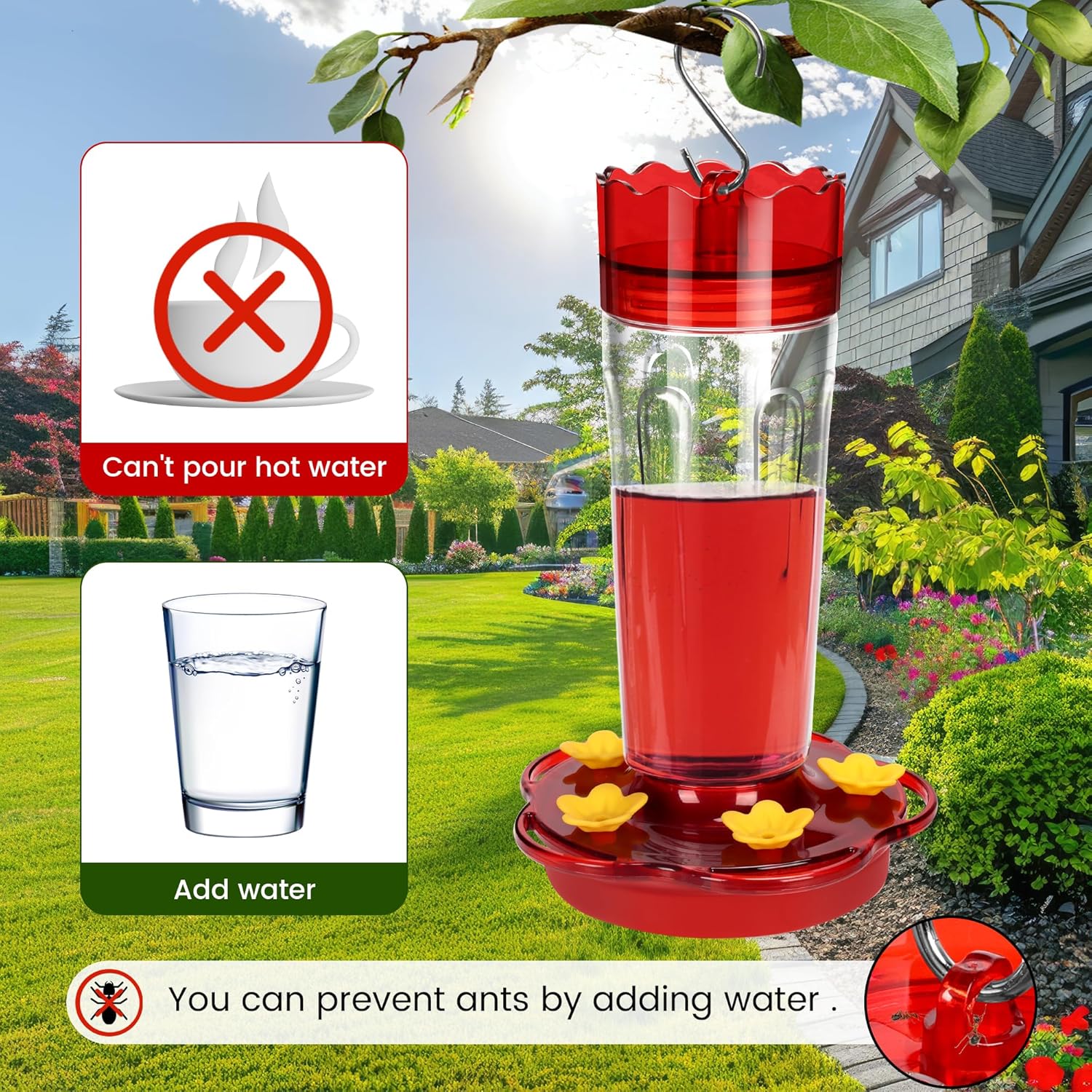 Thumbnail 4 de Hummingbird Feeders 15 Ounces 2-Pack with Ant Moat 🐦