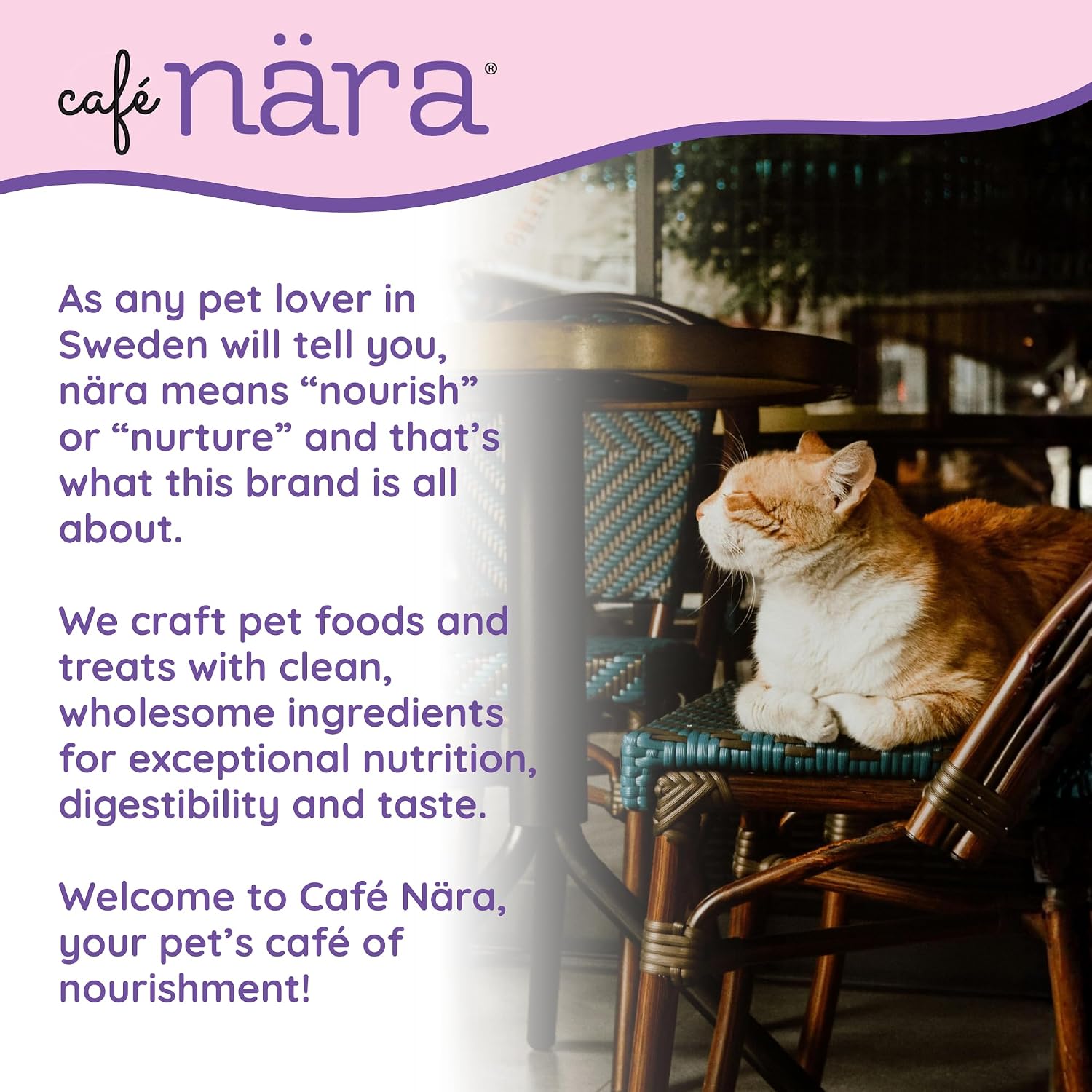 Detalle de Café Nara Lickable Cat Treats, 0.5 oz Tubes
