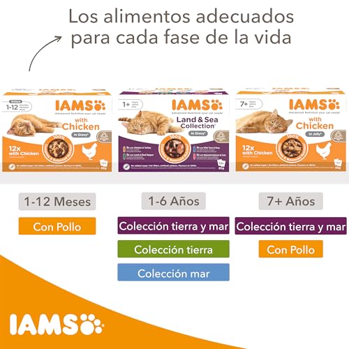 Thumbnail 5 de IAMS Delights Adult Cat Land & Sea Collection en Jelly 12 x 85 g