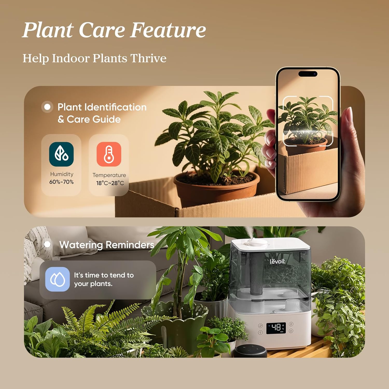 Thumbnail 3 de Levoit 6L Cool Mist Humidifier