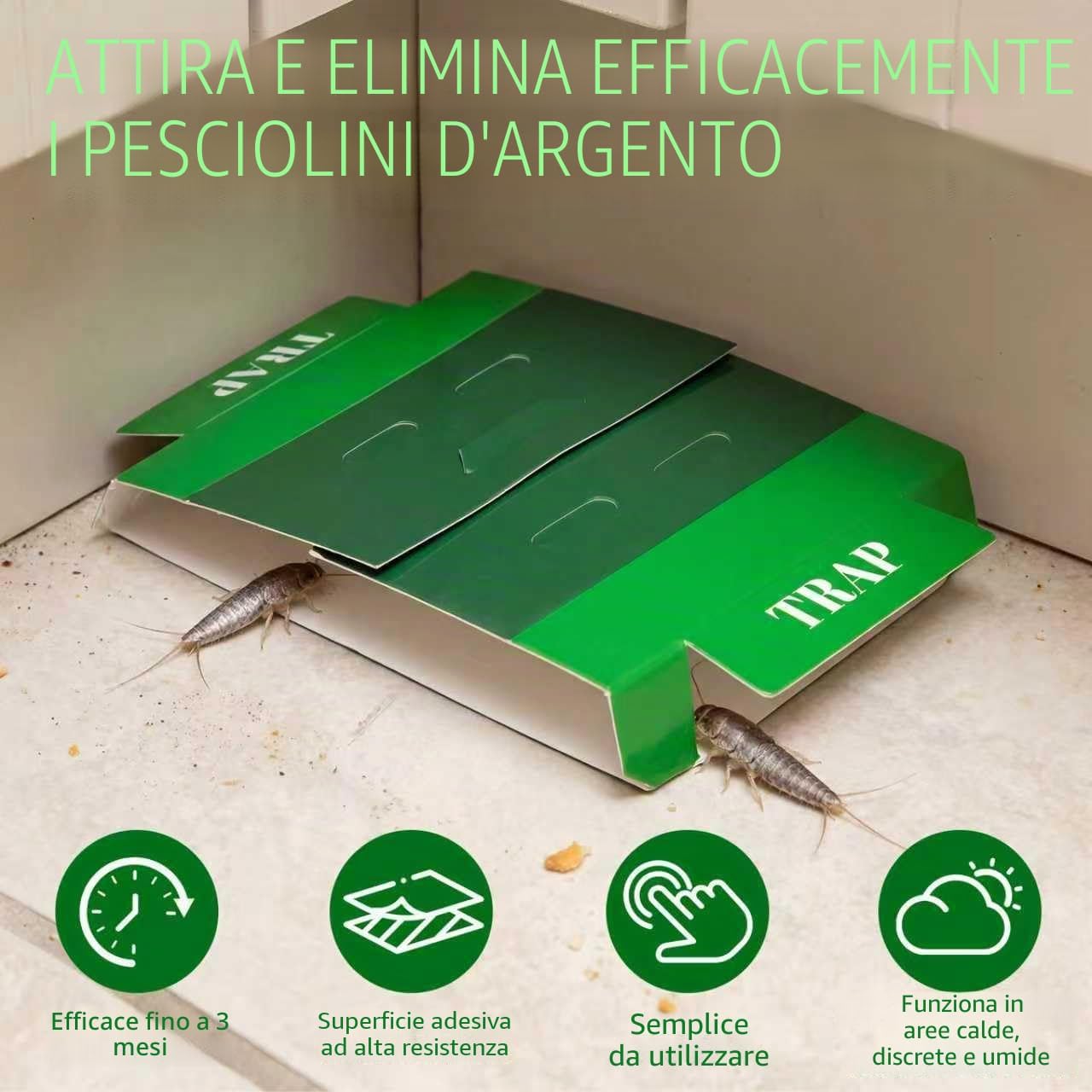 Thumbnail 4 de Pesciolini d'argento Trappole Scarafaggi - 10 Trappole adesive efficaci e sicure per casa