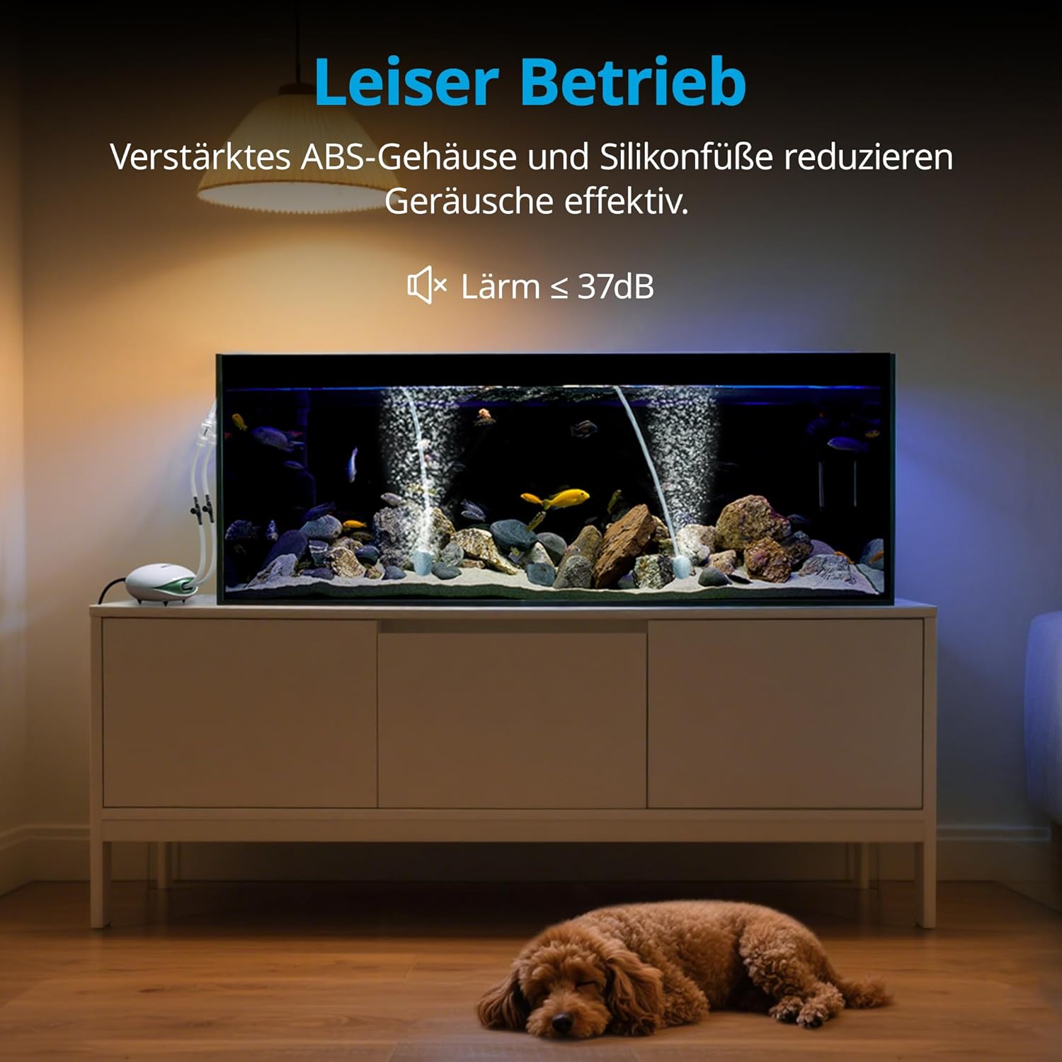 Detalle de NICREW Leise Luftpumpe 5 L/min für Aquarien