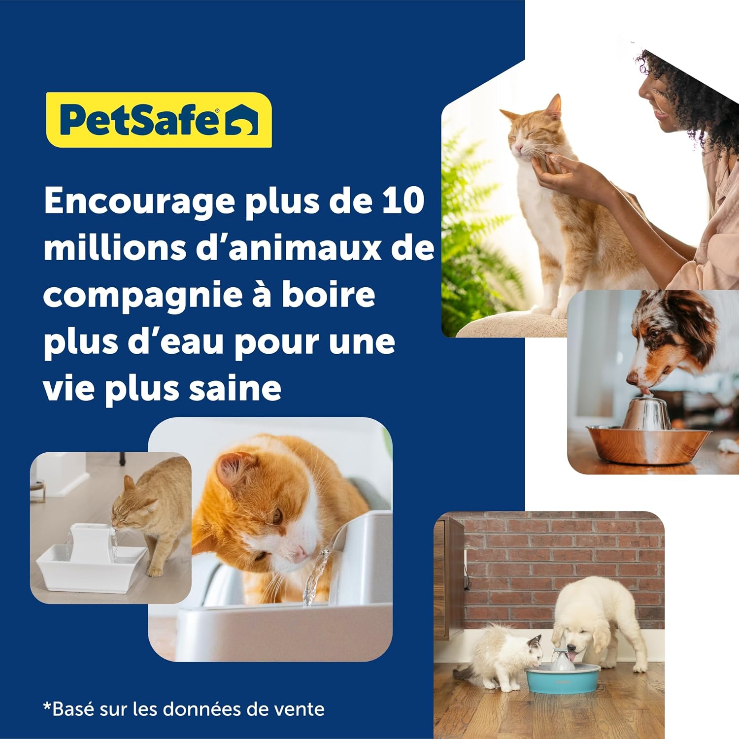 Detalle de Petsafe – Filtre au charbon de rechange pour fontaine Drinkwell Avalon et Pagoda (4 filtres)