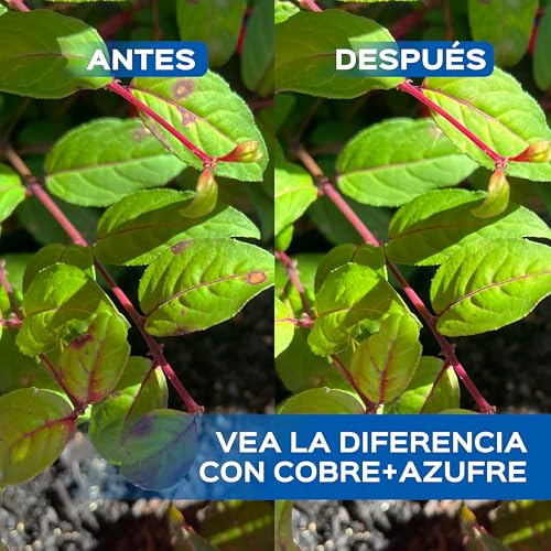 Thumbnail 6 de LERAVA Azufre de Cobre Fungicida (700 ml) – Protección natural para plantas contra mildiu y hongos