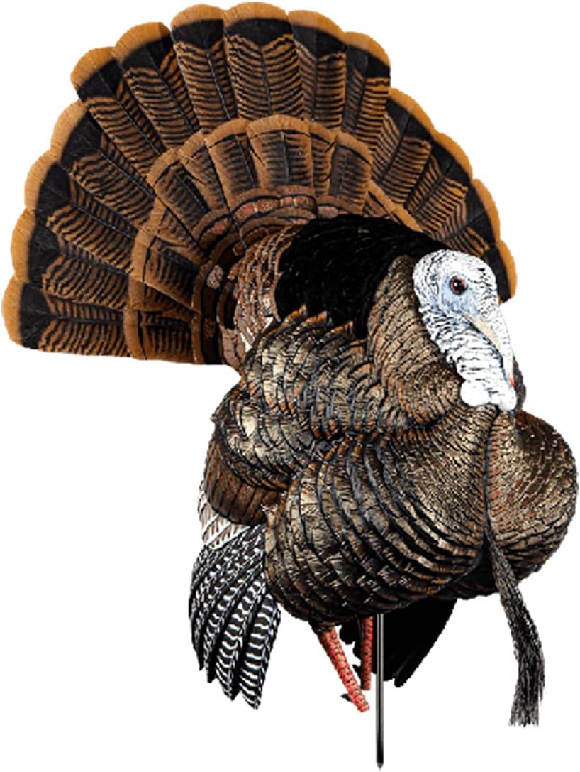 Thumbnail 1 de Avian-X turkey decoy AVX HDR