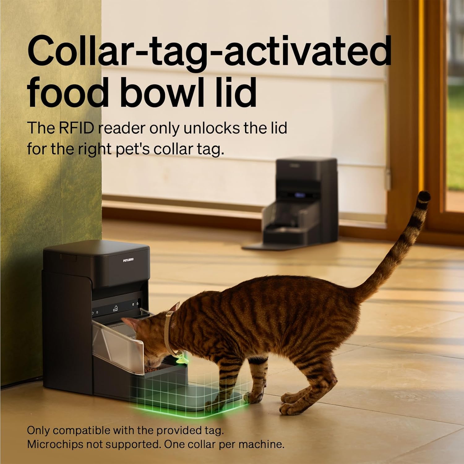Detalle de PETLIBRO RFID Automatic Cat Feeder with Collar Sensor: Personalized Meals and Real-Time Diet Tracking