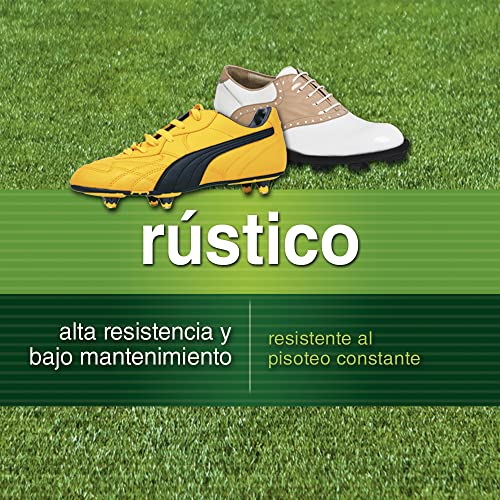 Thumbnail 2 de Flower - Semillas de Césped Rústico 🌱, Ideal para Jardines y Campos