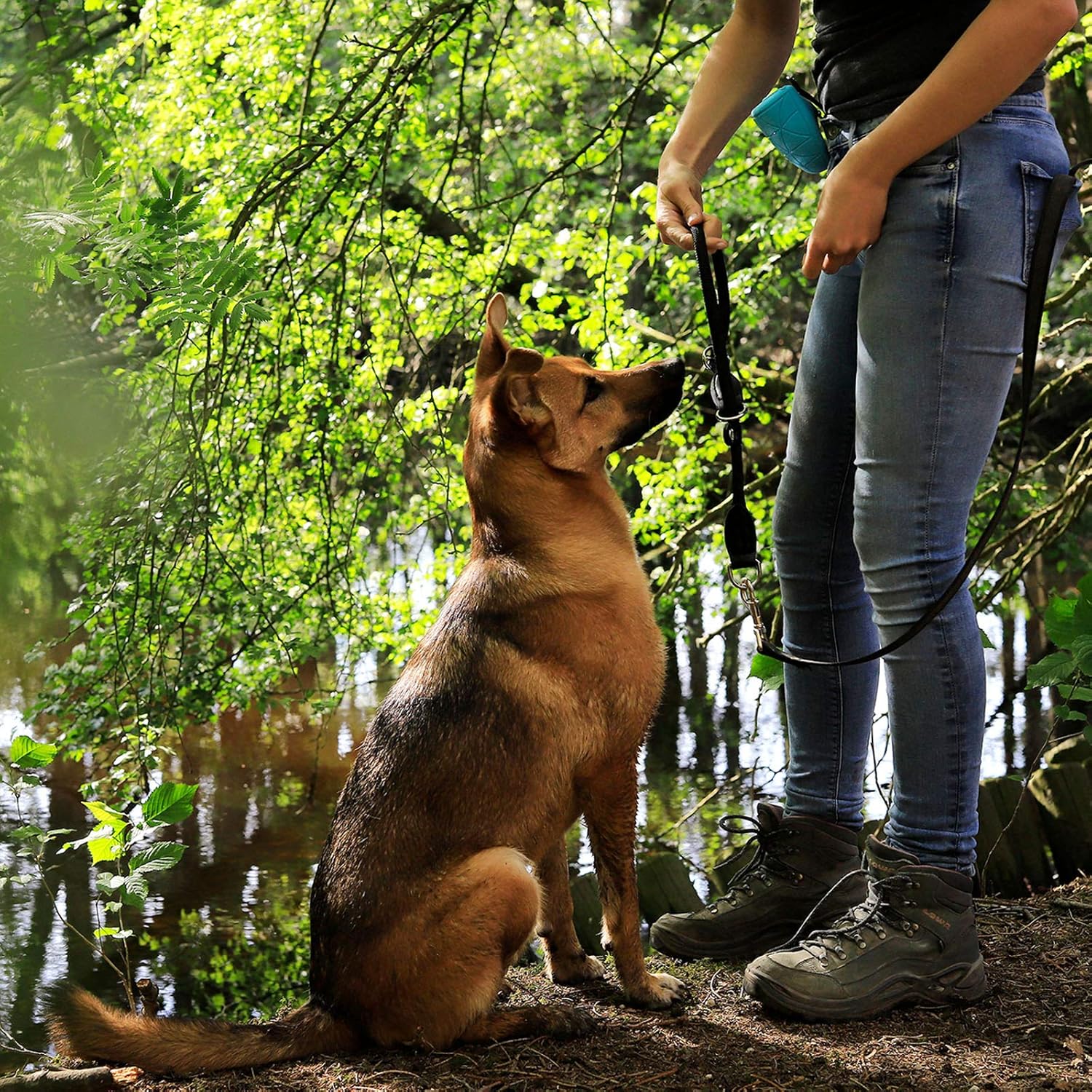 Thumbnail 1 de lionto Hundehalsband aus Nylon mit Zugstopp – 35 cm, 0,8 cm dick, schwarz