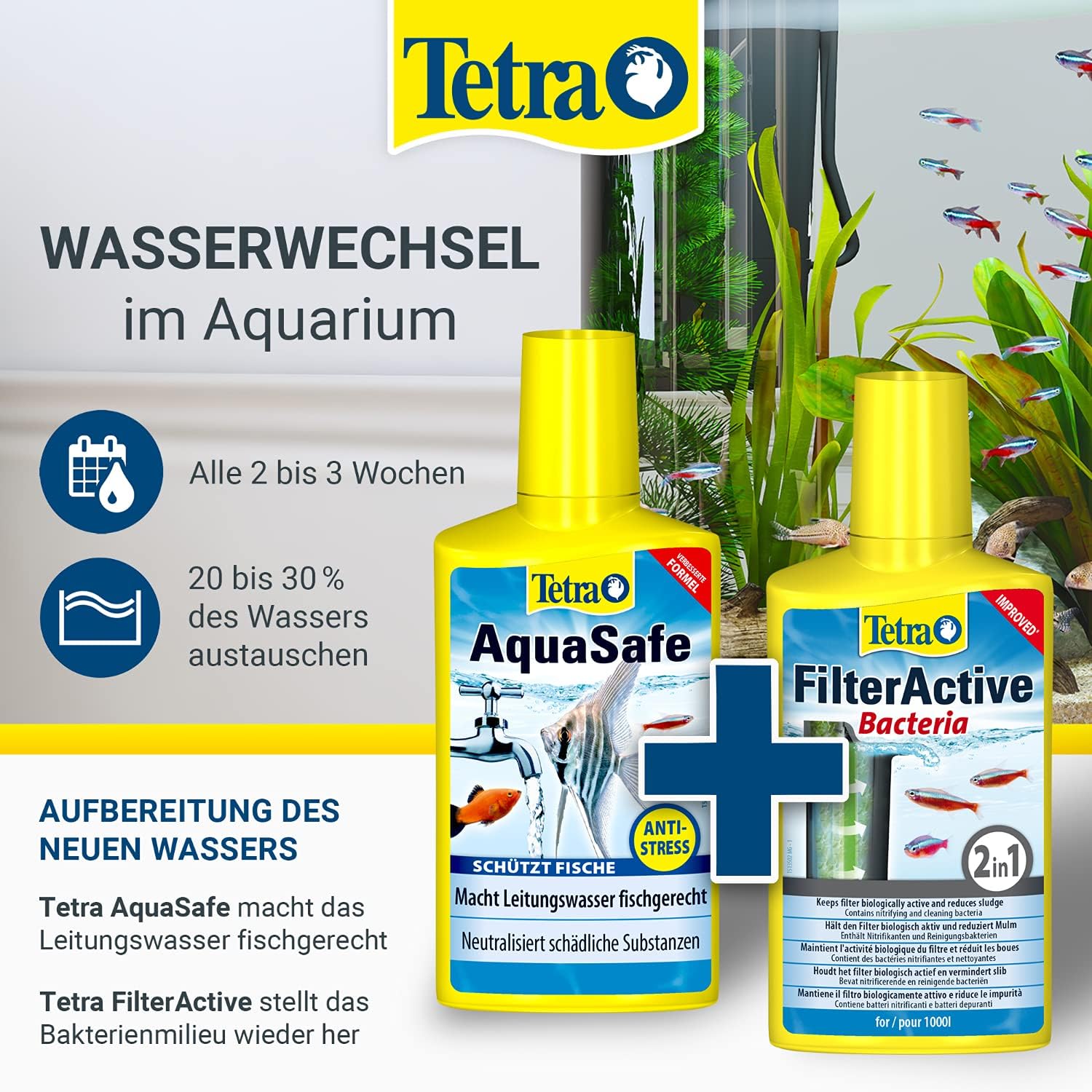 Detalle de Tetra FilterActive Bacteria 2in1 – Starterbakterien + Schlammabbau für Süßwasseraquarien (250 ml)