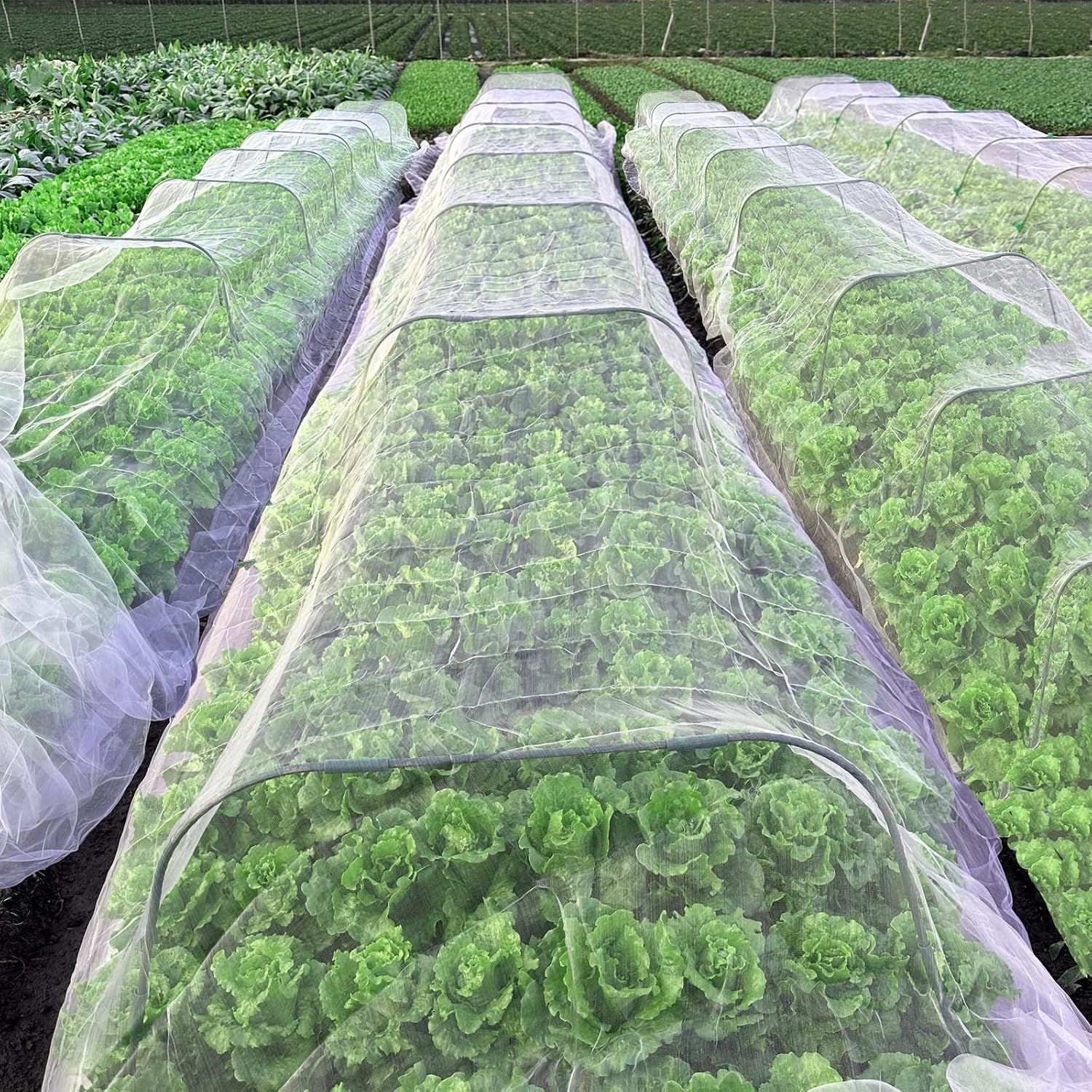 Detalle 2 de Garden Mesh Netting Kit: 3x13M Fine Mesh Net with 8 Garden Hoops and 24 Clips for Pest Protection