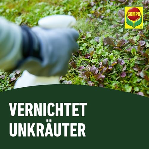 Detalle de COMPO Rasenunkraut-Vernichter Banvel Quattro – Konzentrat 400 ml (400 m²)