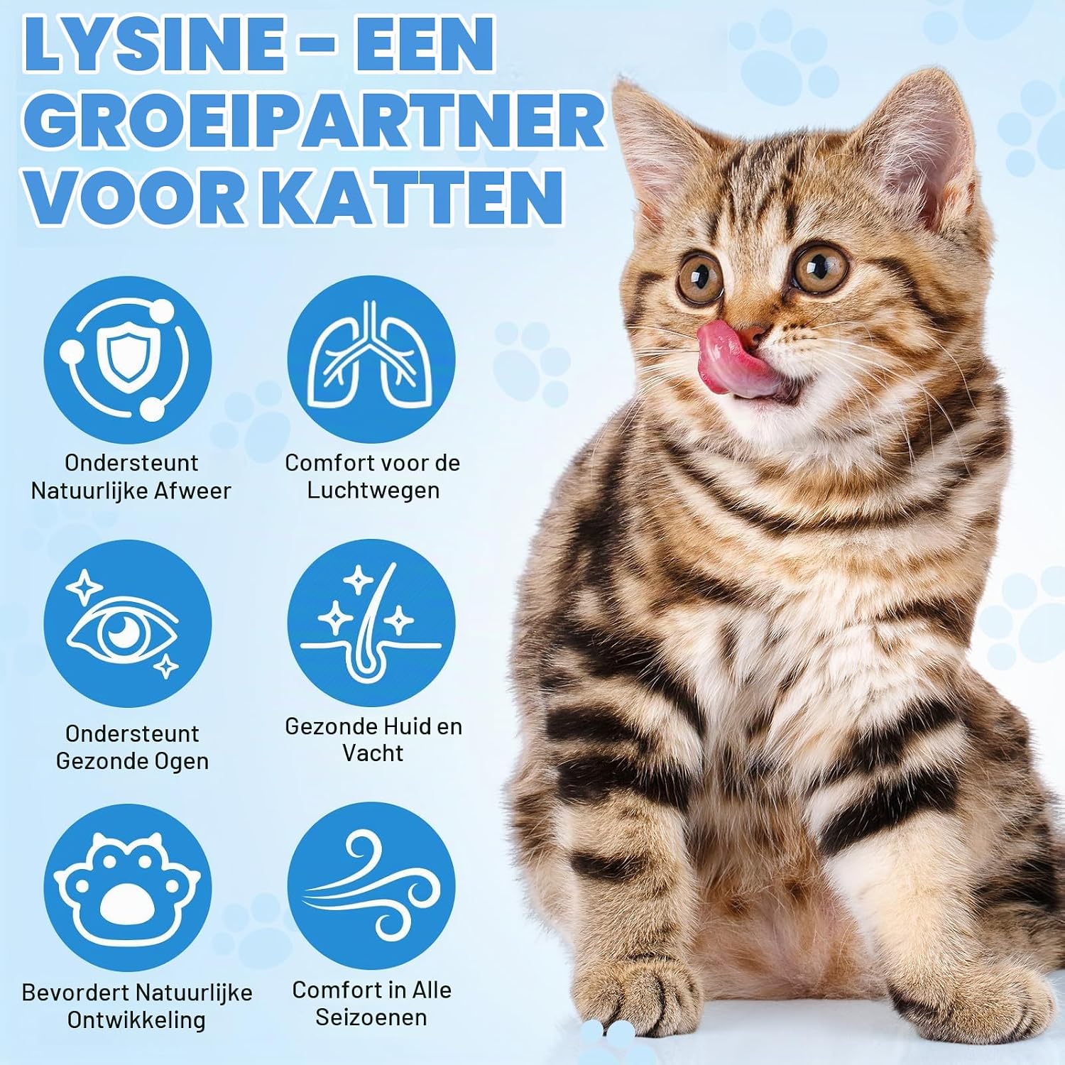 Detalle 2 de Onznoz 872DSF54 L-lysinedruppels voor katten, 60 ml
