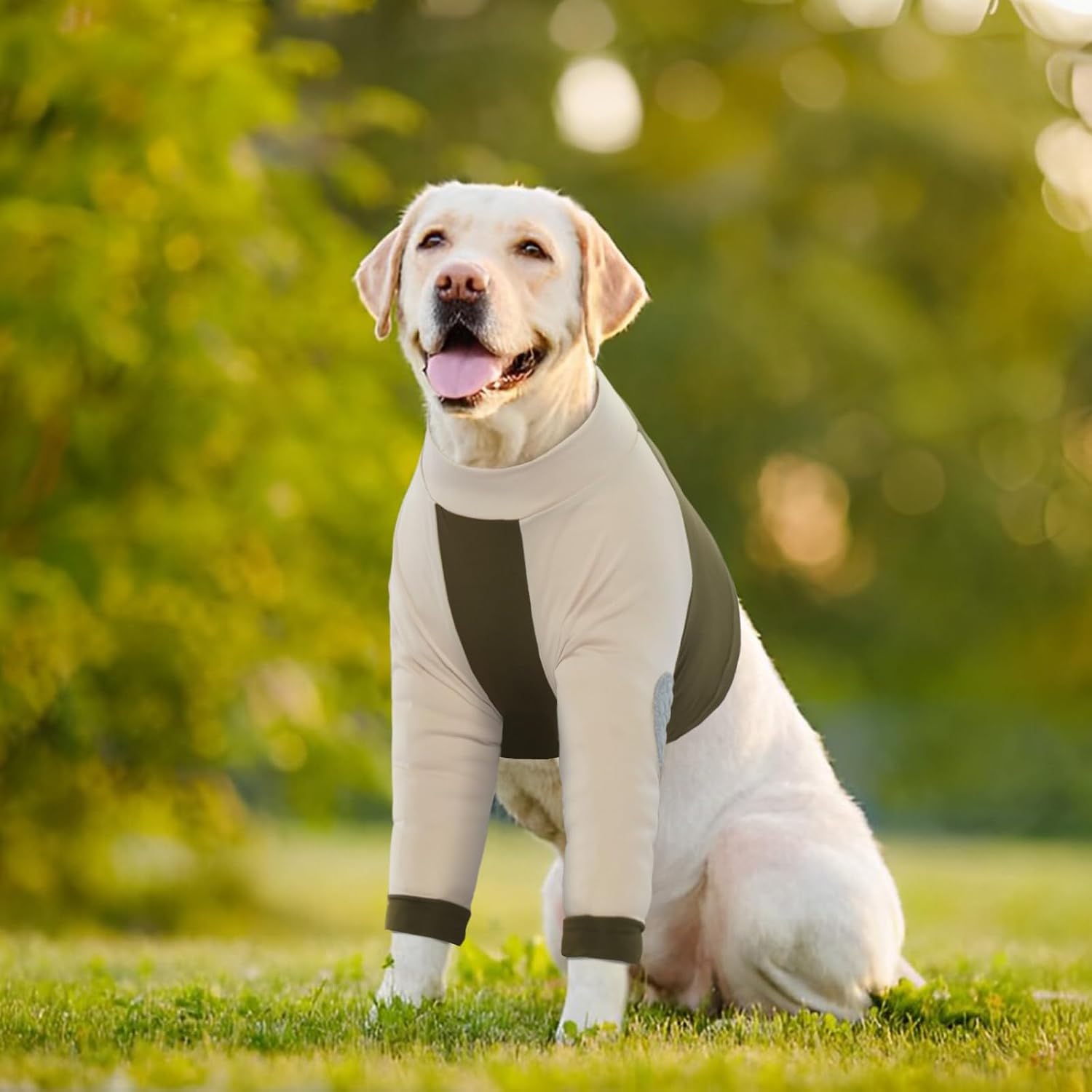 Thumbnail 6 de LeLePet Dog Recovery Suit for Large Dogs (3XL) – Anti-Lick Post-Surgery Wear in Army Green