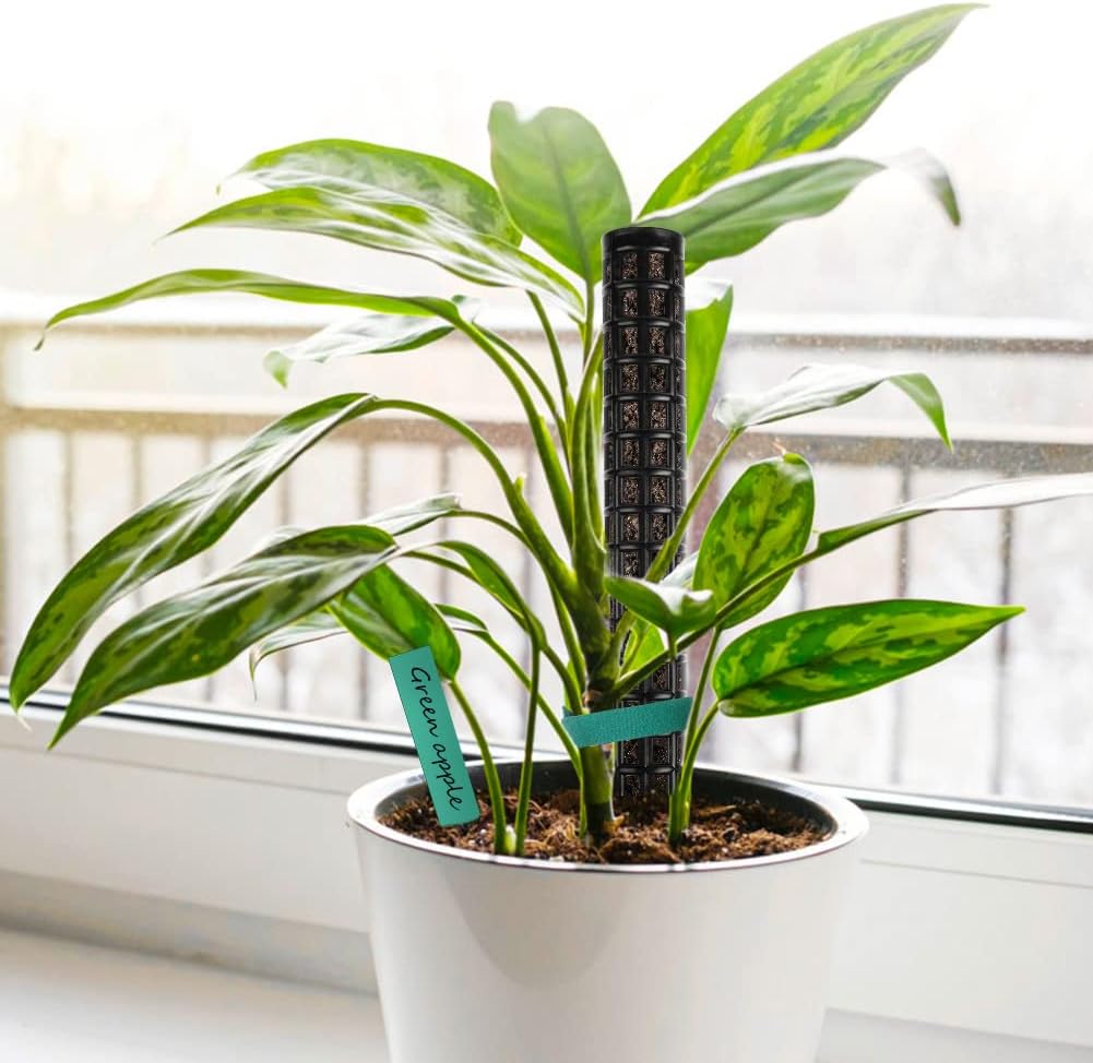 Thumbnail 6 de OFFCUP Moosstab Pflanzstab – 4er-Set als Monstera Rankhilfe mit Etiketten & Klettverschluss