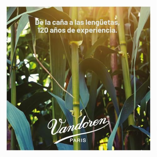 Thumbnail 7 de Vandoren SR2225 n.2.5 – Caja de 5 cañas tradicional para saxofón tenor