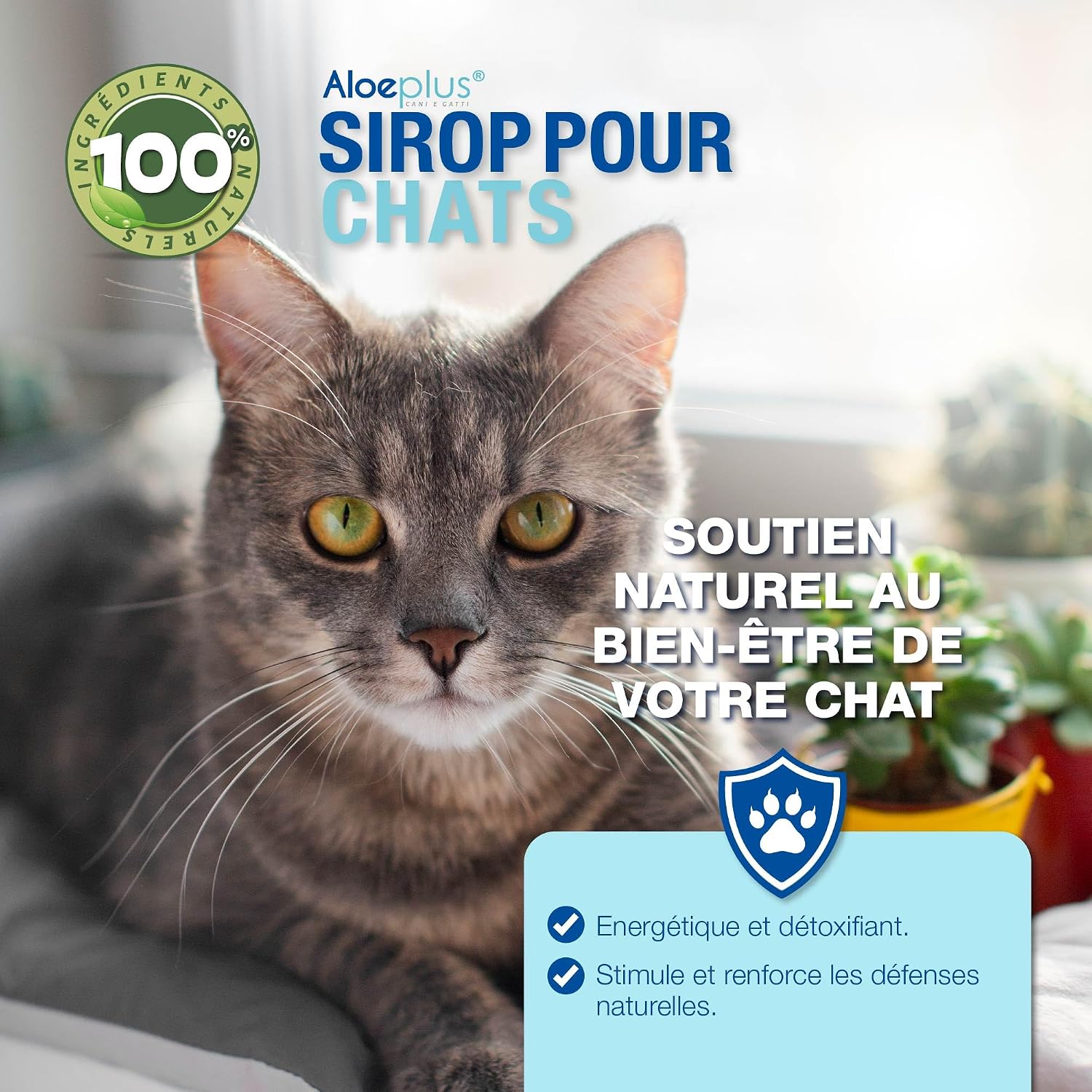 Detalle 2 de Aloeplus Chats Sirop 100ml – Complément Alimentaire Énergétique et Détoxifiant à l’Aloe Arborescens BIO