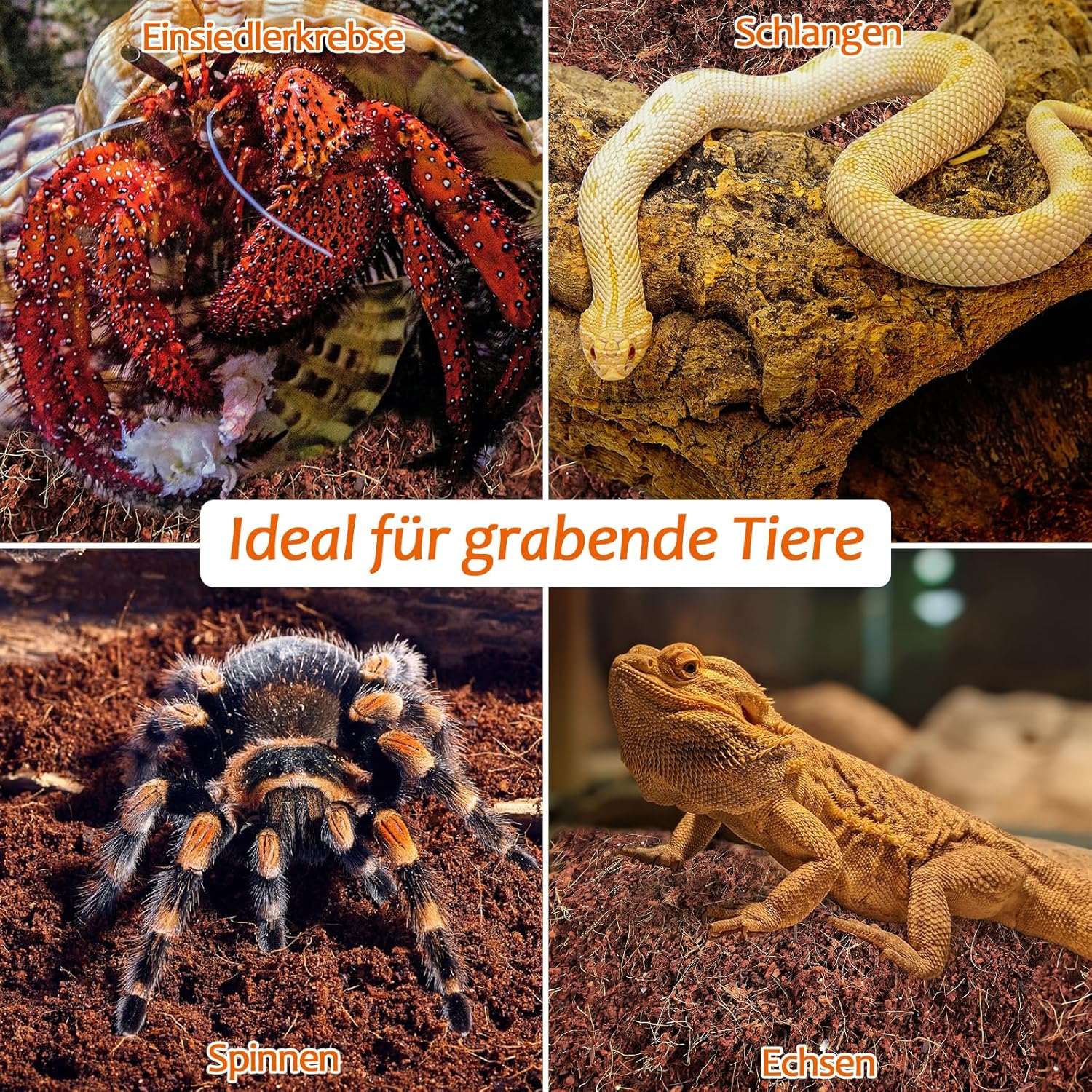 Thumbnail 5 de Kokosfaser-Substrat für Terrarien, 1 Stück