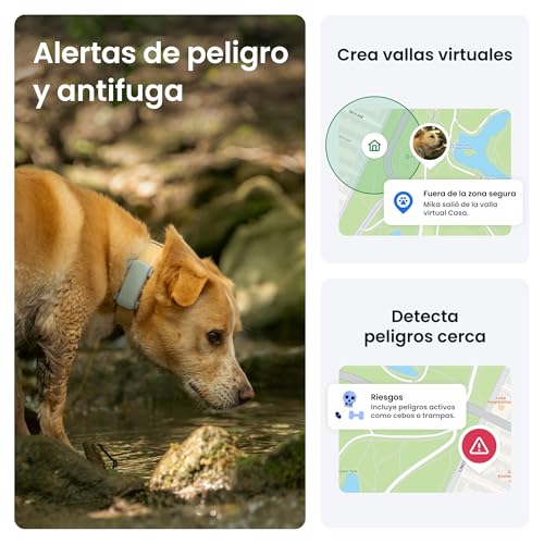Thumbnail 3 de Tractive GPS perros 2025 Edición — Localización en tiempo real, salud y alertas de fuga