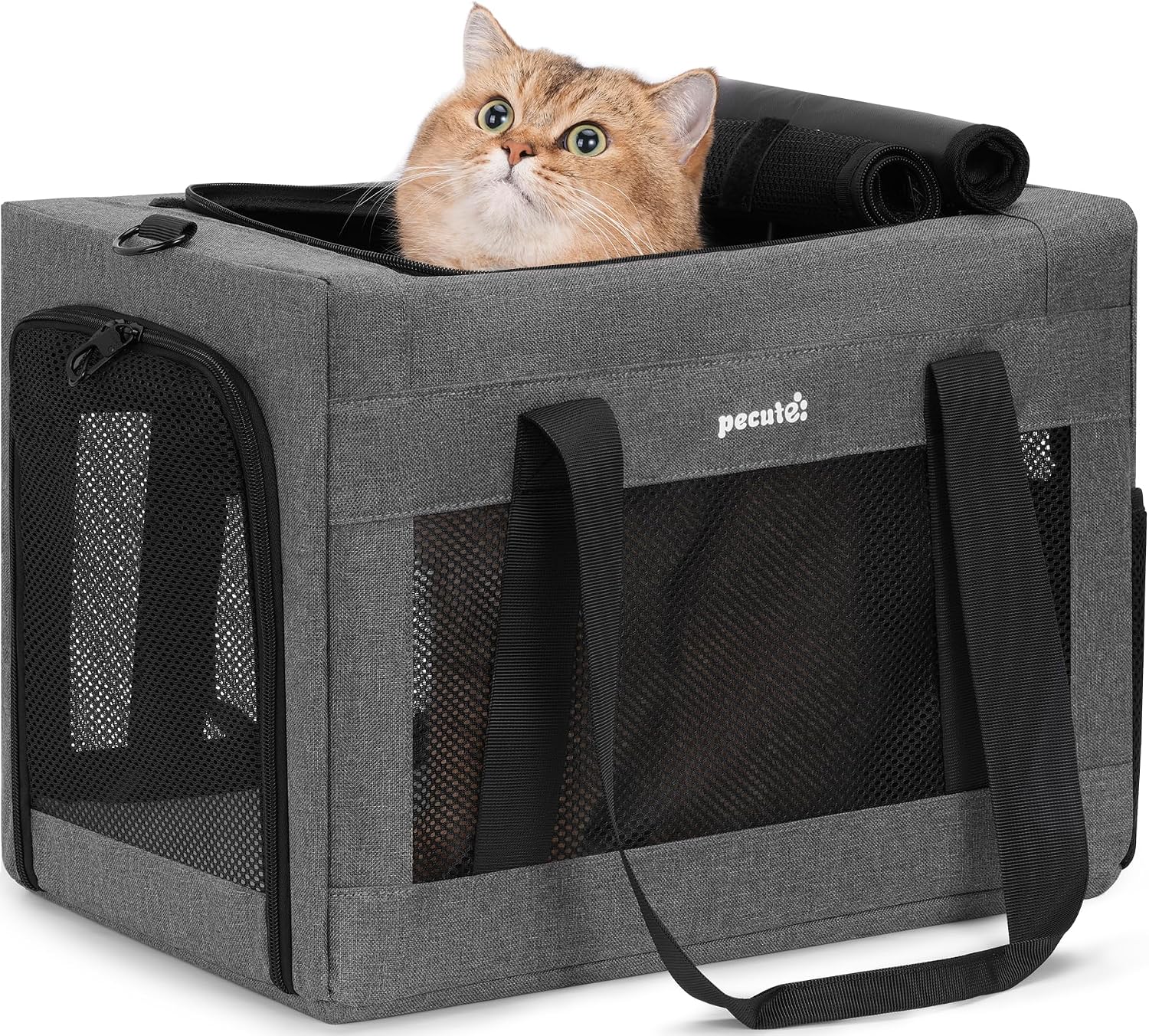 Detalle de pecute Katzentasche / Hundetransporttasche Stabiler Rahmen, belüftetes Mesh-Fenster, bis 5–7 kg, Hellgrau (XL)