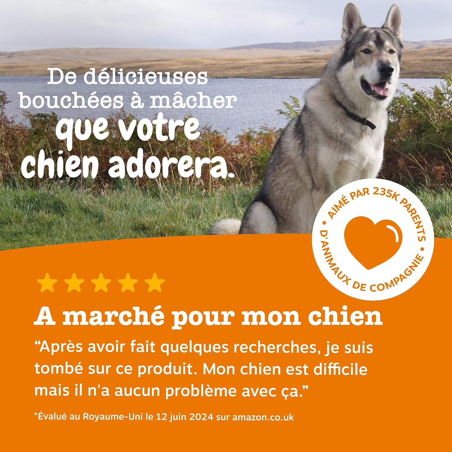 Thumbnail 6 de Zesty Paws Urinary Care à la Cranberry – Friandises complètes pour la santé des voies urinaires chez le chien