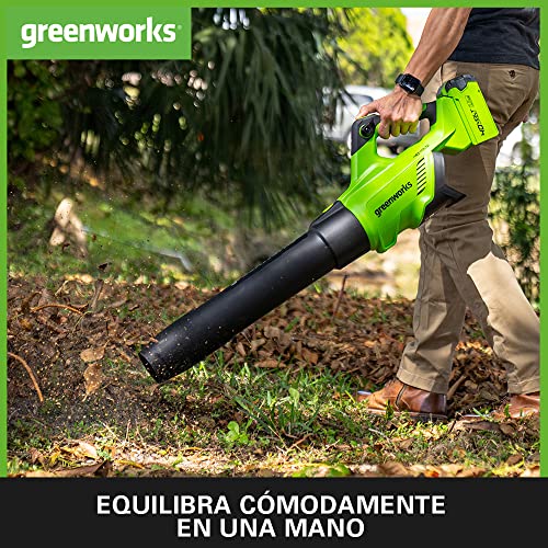 Thumbnail 3 de Greenworks GD40AB Soplador a batería 210 km/h 🍃