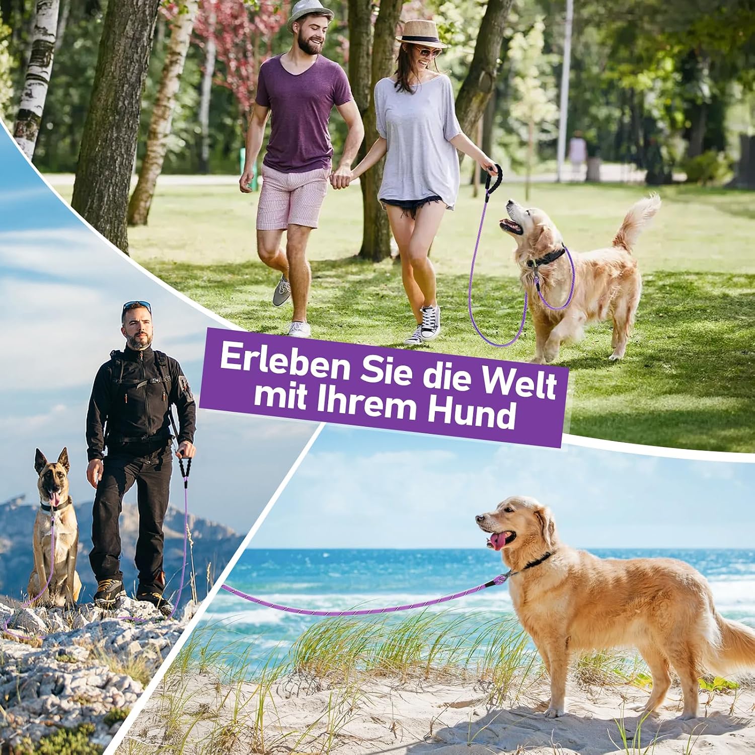Thumbnail 6 de XXBEN Schleppleine für Hunde mit gepolstertem Griff, 10 m – mit abschließbarem Karabiner