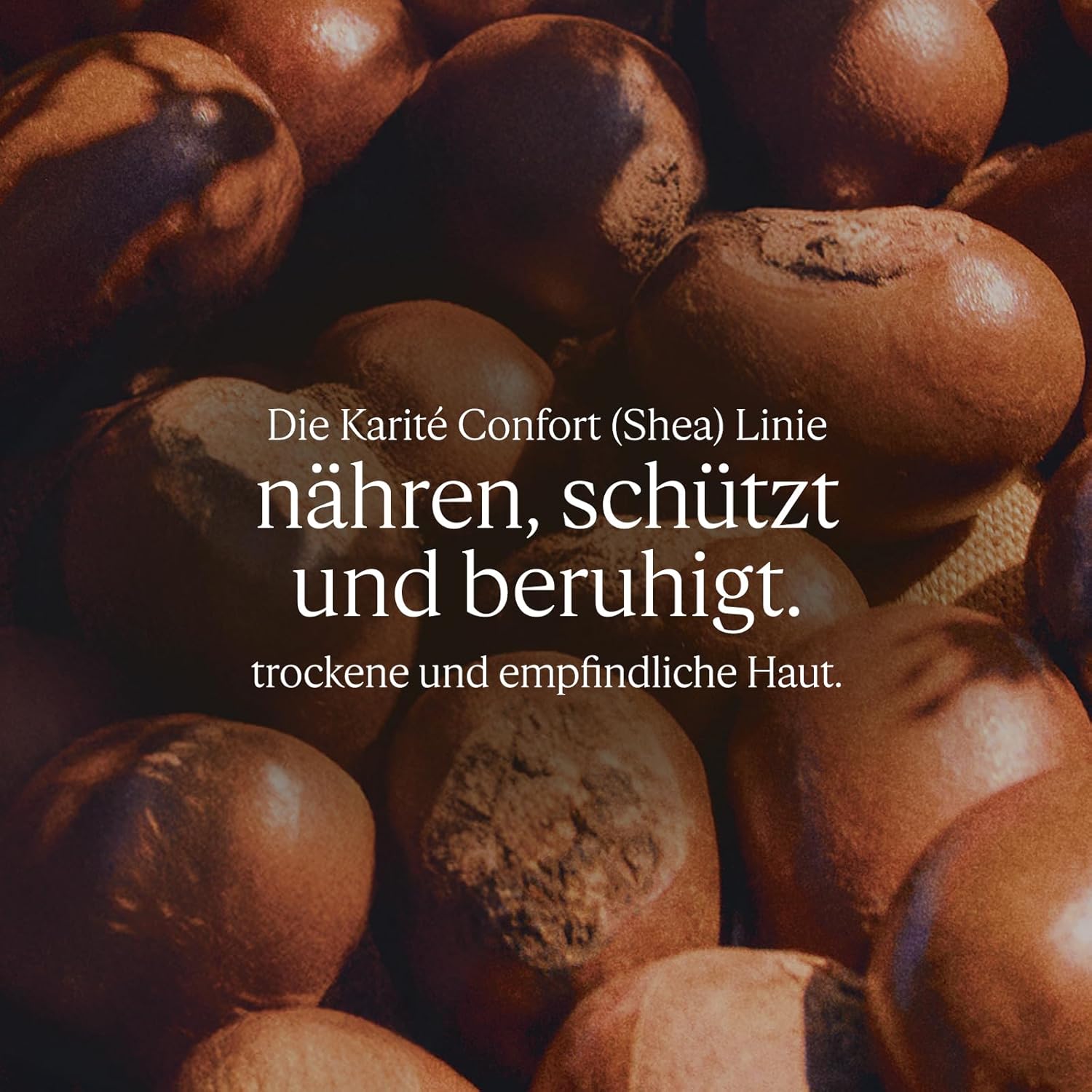 Detalle de L'OCCITANE Intensiv-Fußbalsam Shea (Karité Confort) – 150 ml
