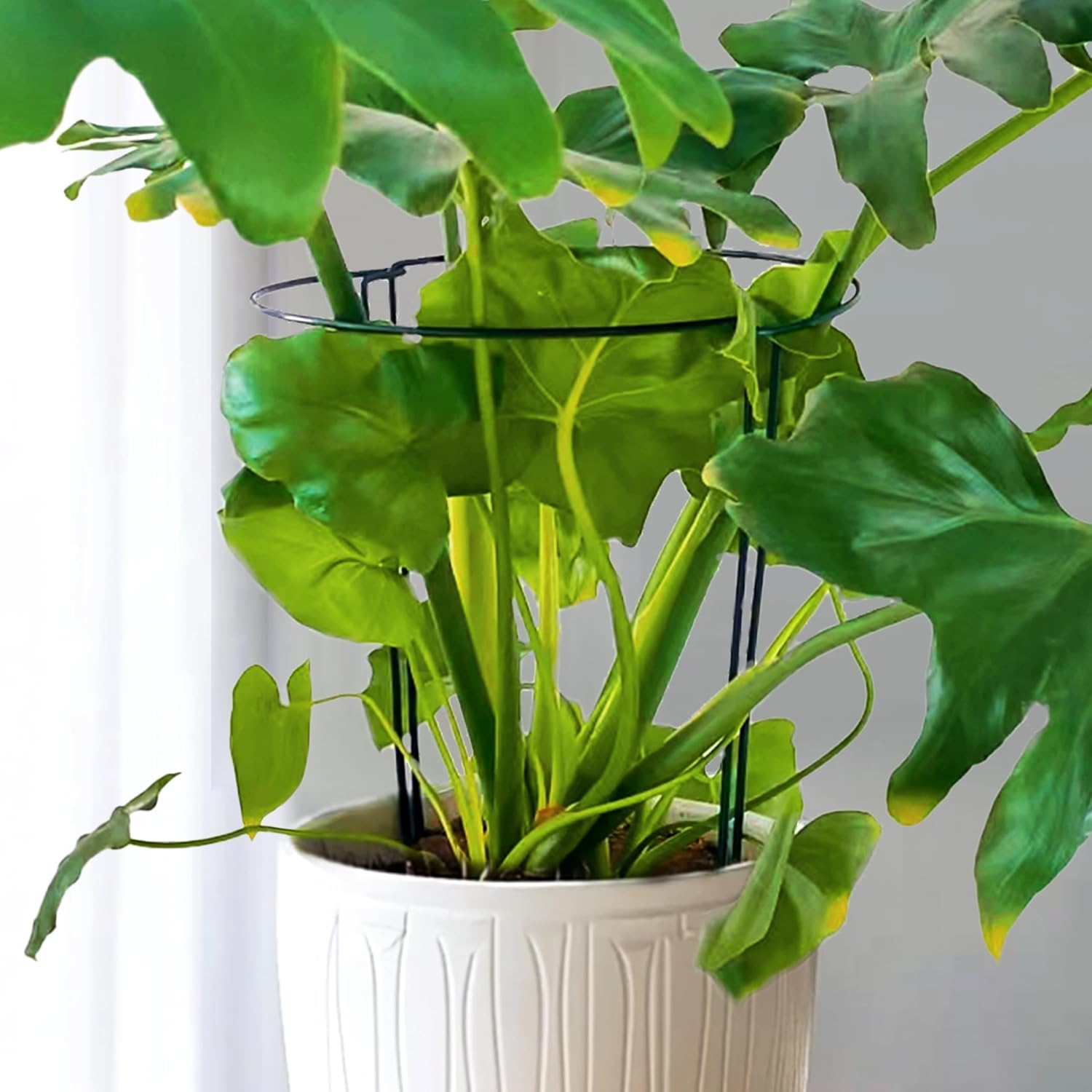 Thumbnail 6 de 10pcs 25x60cm Plant Supports: Thicker 4mm Garden Stakes for Tall Perennials (Green, Weatherproof)