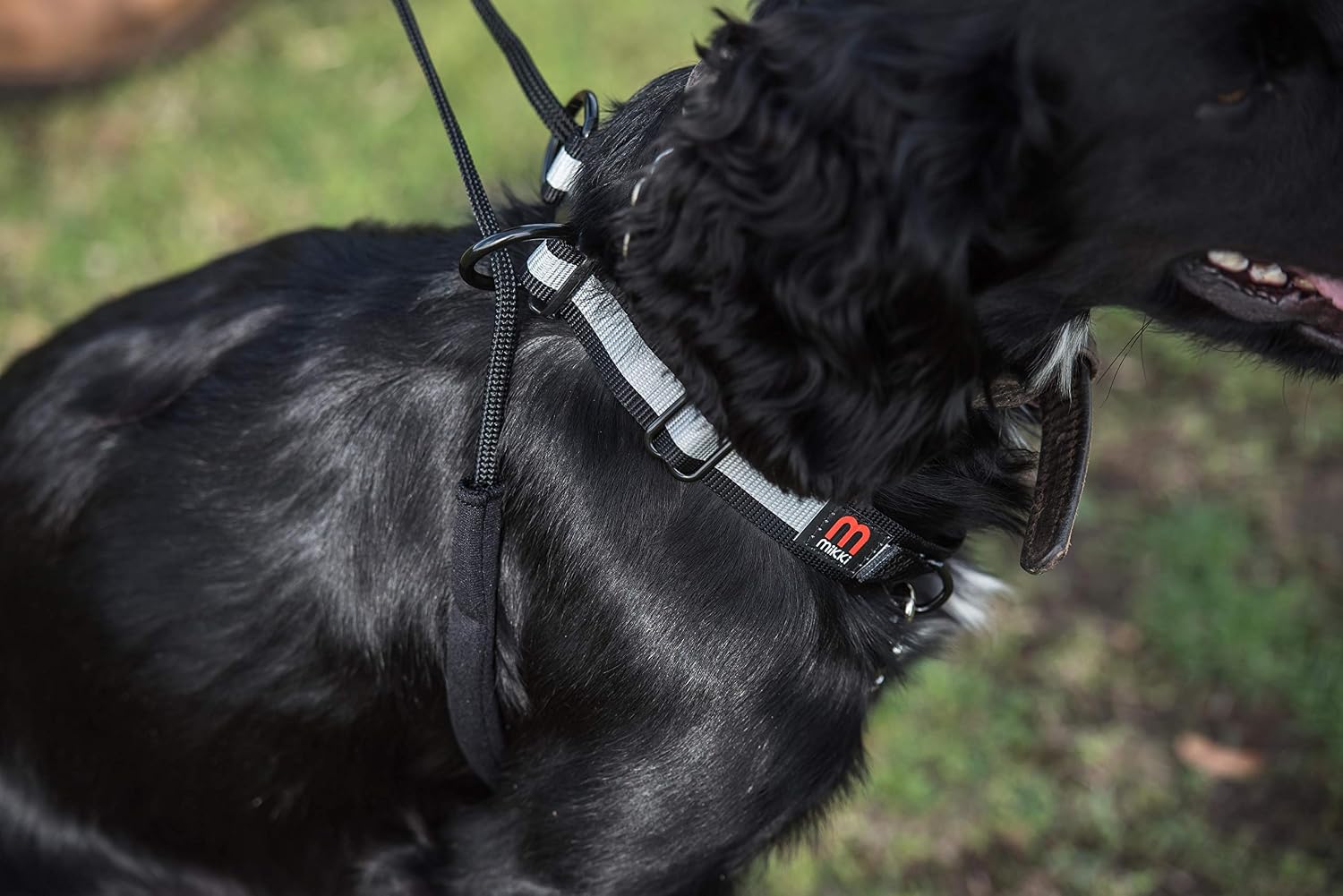 Thumbnail 6 de Mikki Dog anti-dragsele för hund, medium, svart med justerbart reflexhalsband