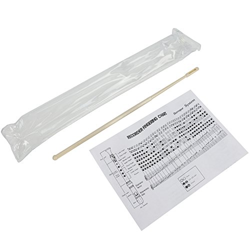 Thumbnail 6 de A-Star Soprano/Descant School Recorder Instrumento, digitación inglesa/barroca - C con tabla de aprendizaje, bolsa y accesorio