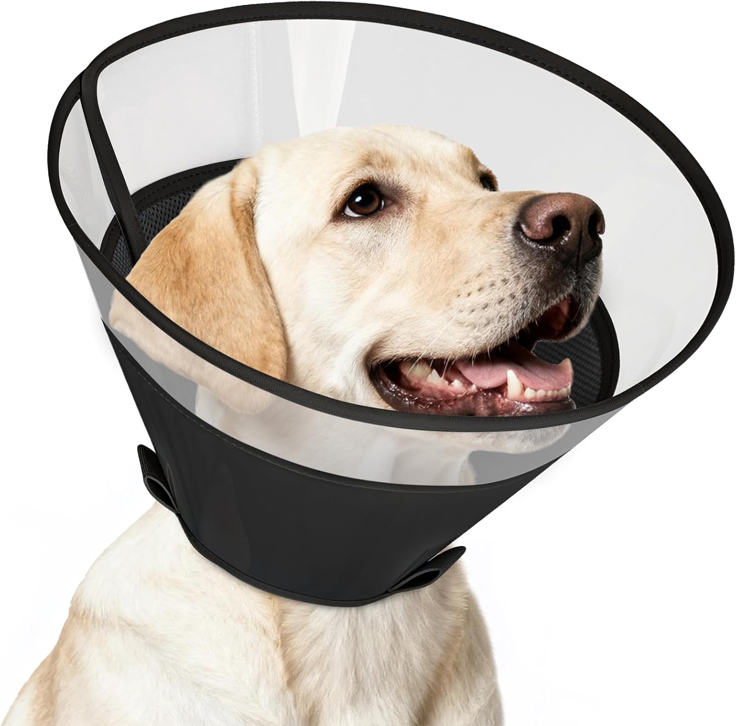 Detalle de Supet Transparent Elizabeth Recovery Cone Collar with Soft Pad (2XL, Deep Black) for Dogs