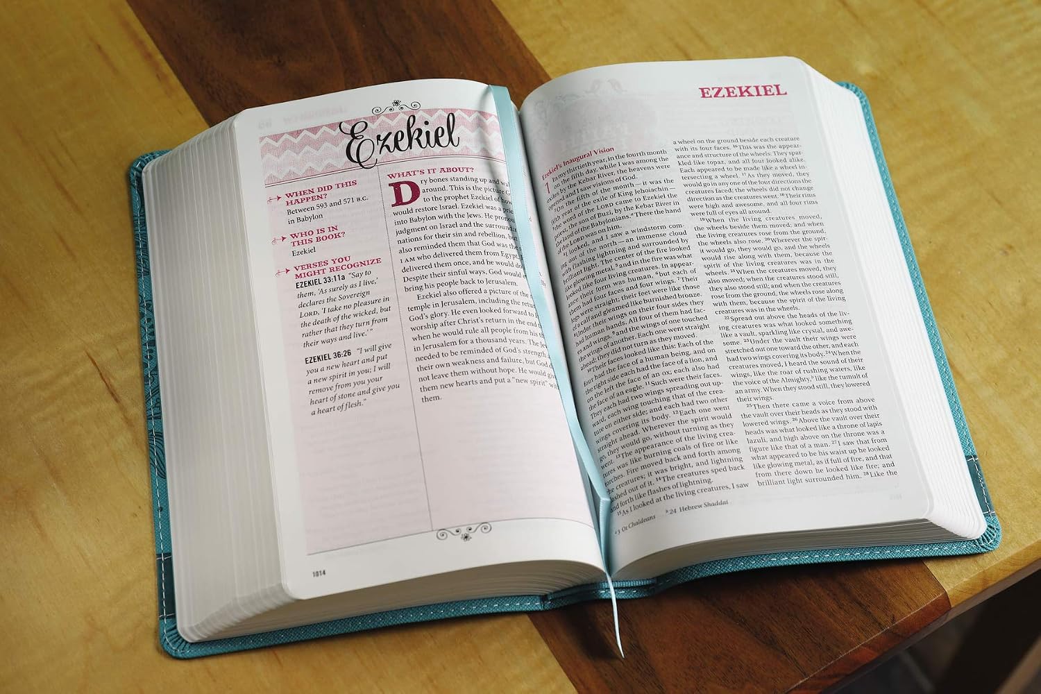Thumbnail 4 de NIV Bible for Teen Girls, Blue Leathersoft Edition with Daily Readings