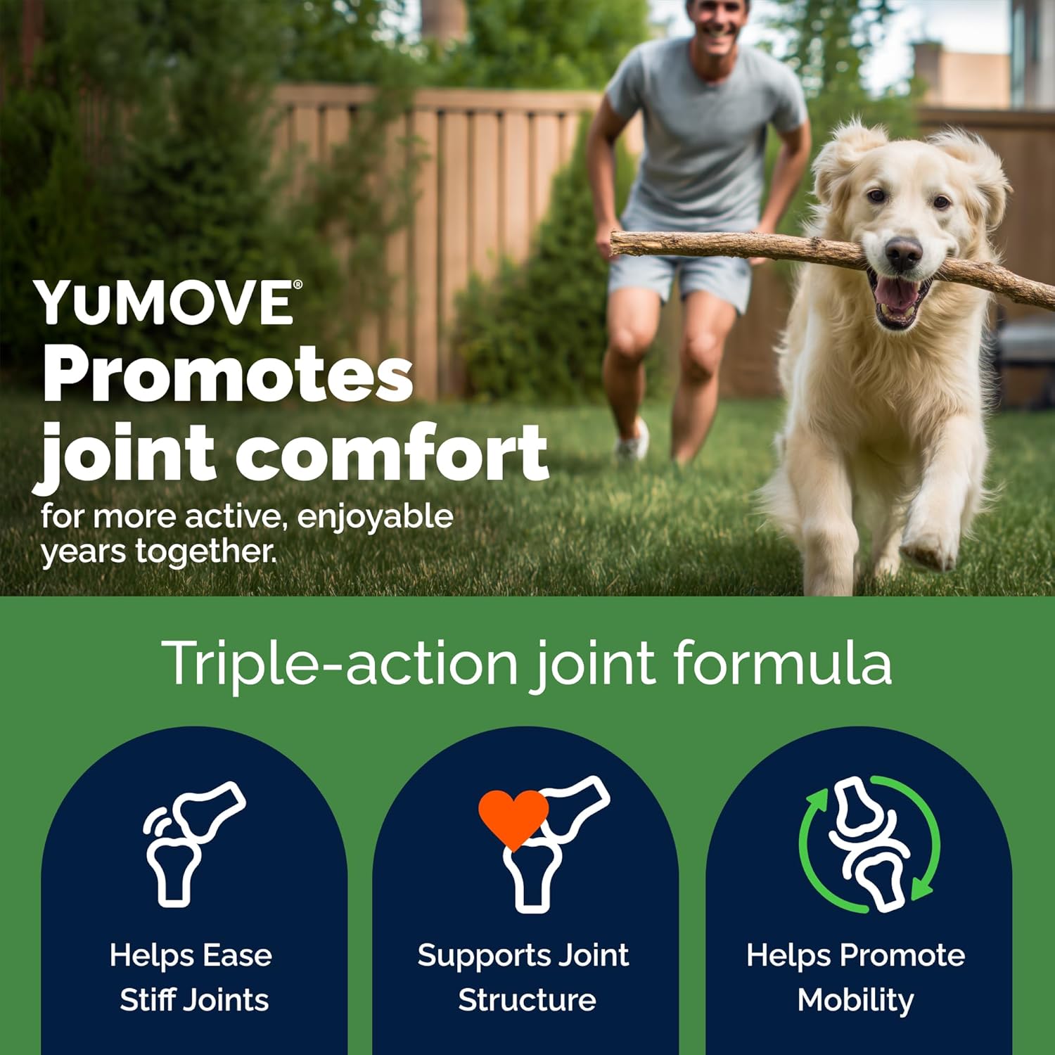 Detalle 2 de YuMOVE Gelenktabletten für Hunde 5–8 Jahre (60 Tabletten, 150 mg) mit Grünlippmuschel