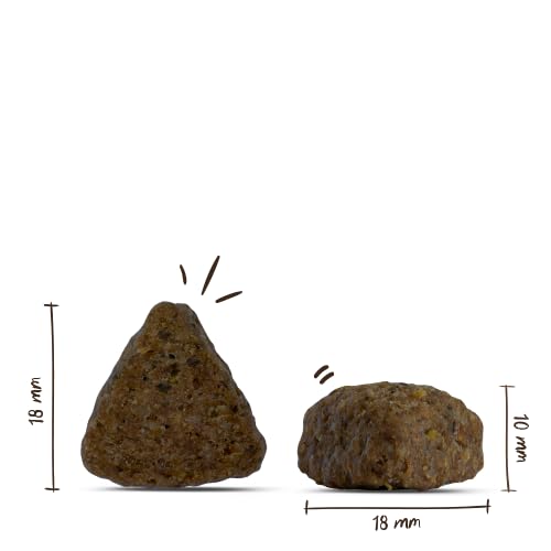 Thumbnail 6 de bosch HPC Adult mit Lamm & Reis – Trockenfutter für ausgewachsene Hunde aller Rassen (1 x 15 kg)
