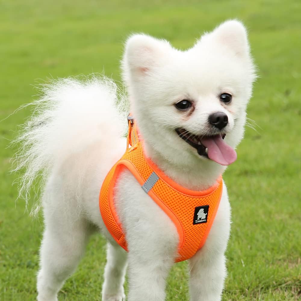 Thumbnail 2 de TRUE LOVE Dog Harness: Soft Air Mesh Adjustable Reflective Vest for XX-Small Orange