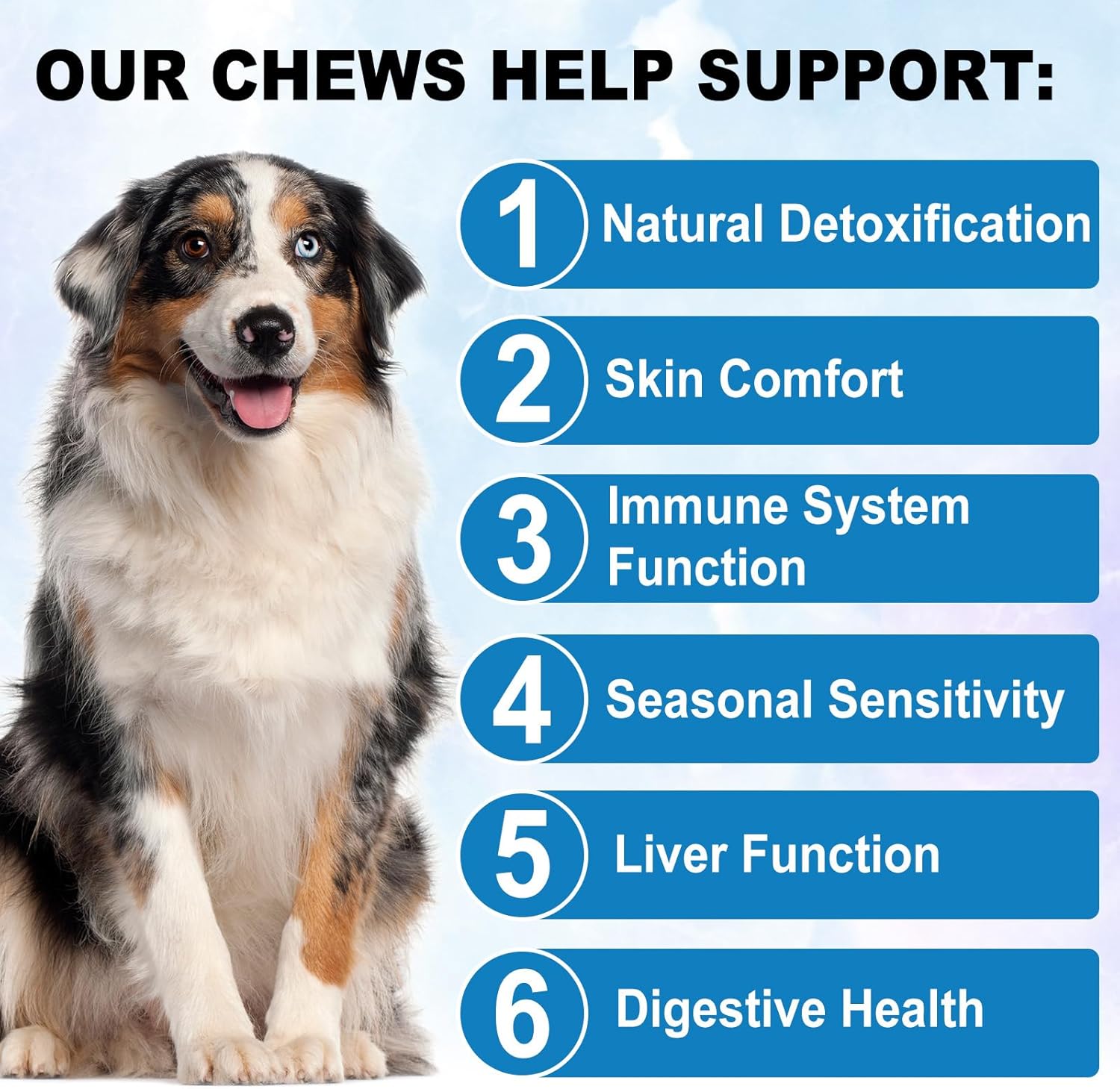 Thumbnail 2 de Bieyoc Sollievo dal prurito cutaneo per cani con quercetina, bromelina e curcuma (150 pezzi, gusto anatra)