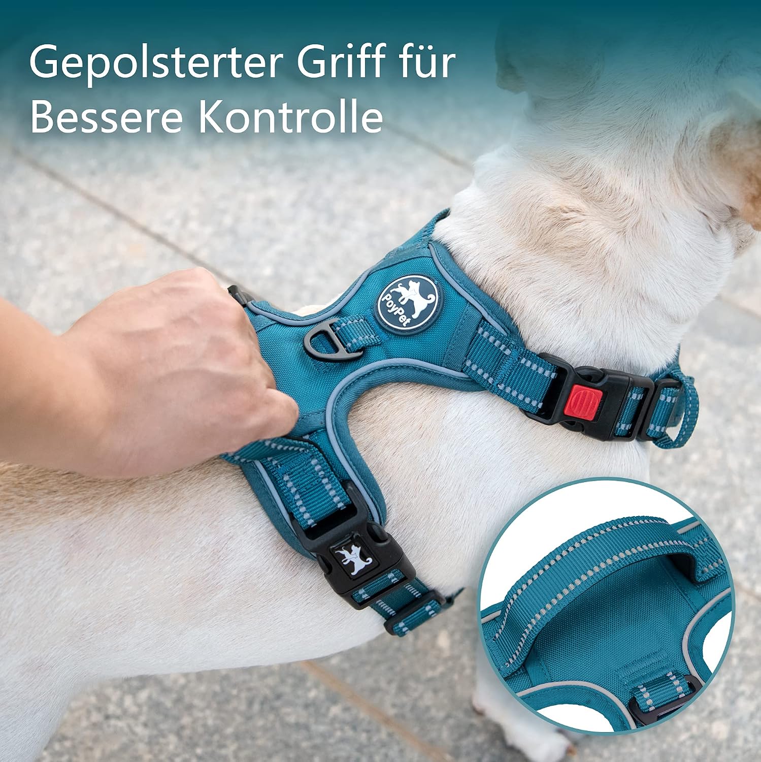 Detalle 2 de PoyPet Tumalo Teal Hundegeschirr L – gepolsterte Weste für große Hunde
