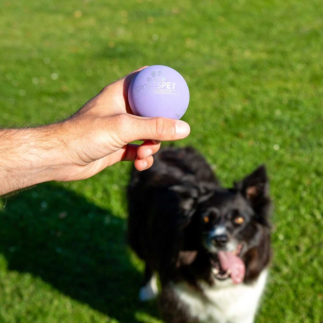 Thumbnail 3 de SPORTSPET High Bounce I Love My... Natural Rubber Dog Ball Toy (12 Pack, 60mm)