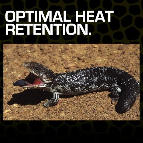 Thumbnail 5 de Exoterra Arena del Desierto 4,5 kg 🐾