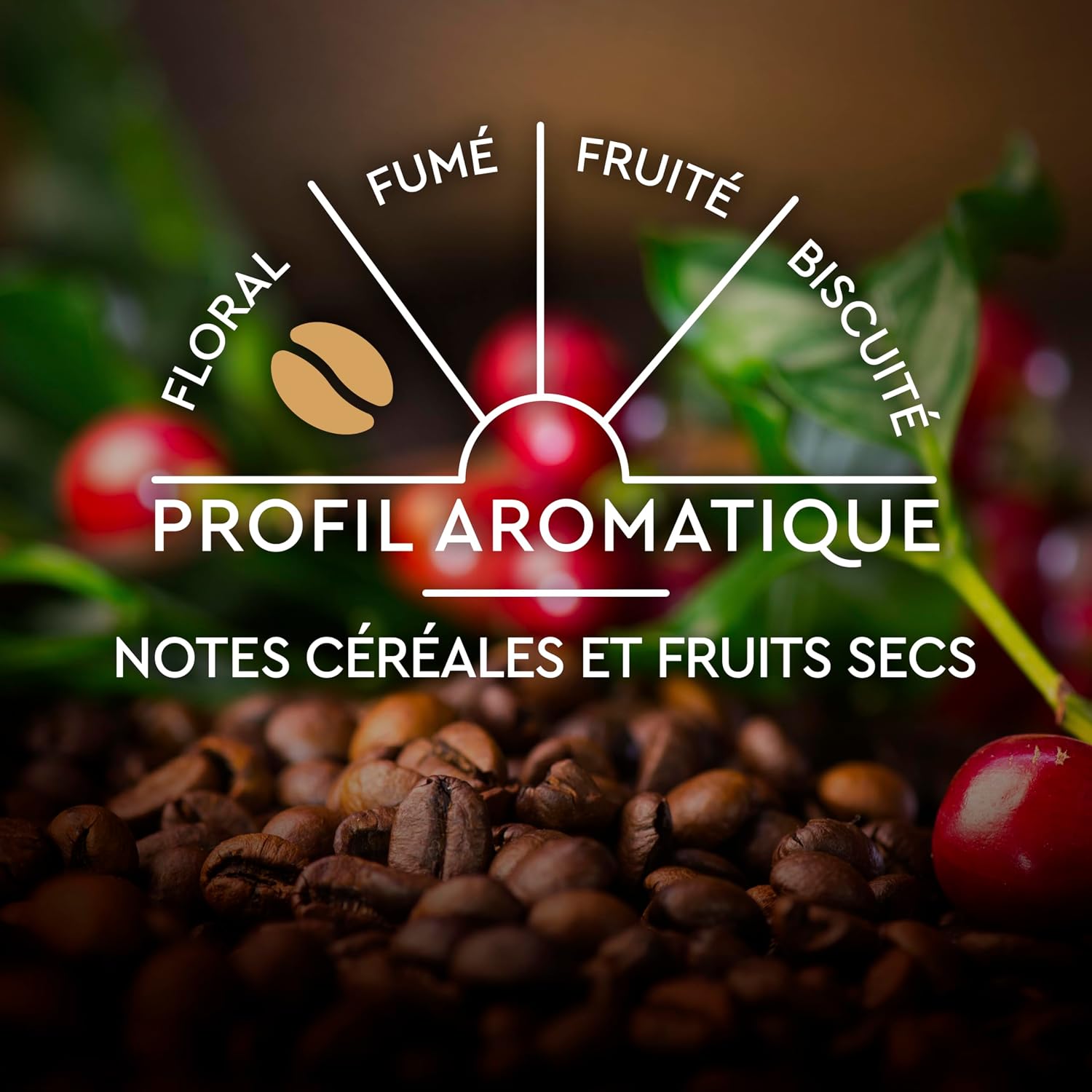 Thumbnail 5 de CARTE NOIRE 240 Capsules Lungo Iconique