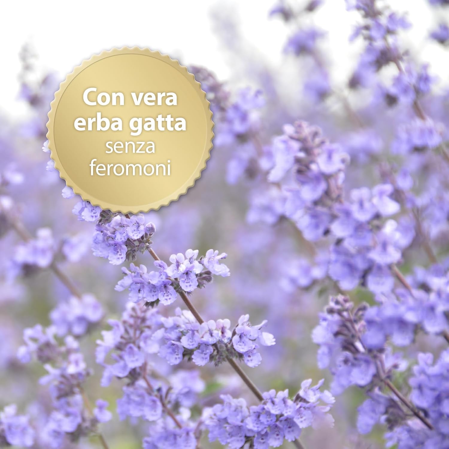 Detalle de Felisept Family Comfort Ricarica 45 ml: calma naturale per famiglie di gatti