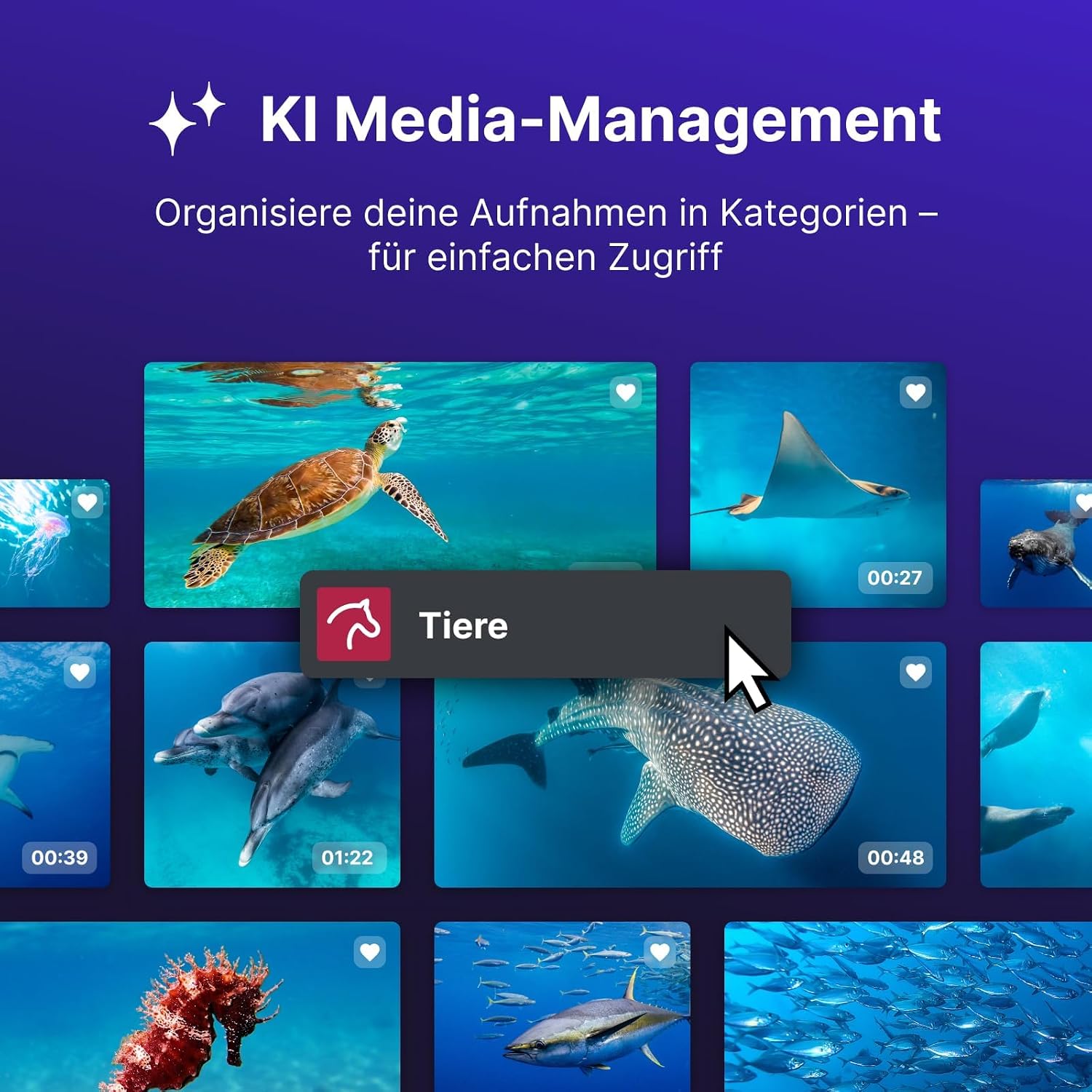 Thumbnail 6 de MAGIX Video deluxe Ultimate 2026 – Videobearbeitung für Windows 10/11, 2 Geräte, deutsch entwickelt