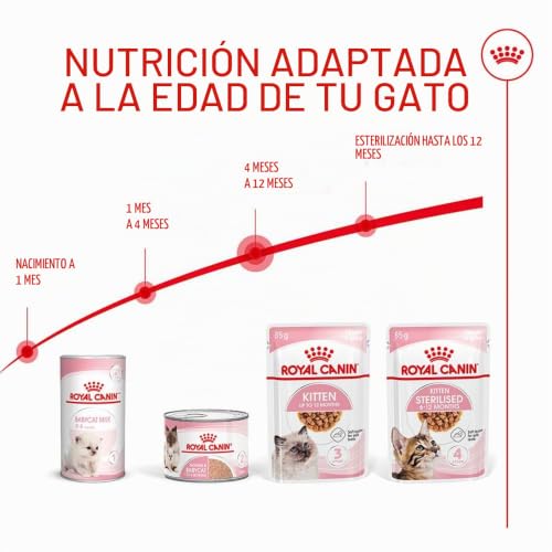 Detalle 2 de Royal Canin Kitten Comida Húmeda 12 x 85 g: para gatitos en crecimiento