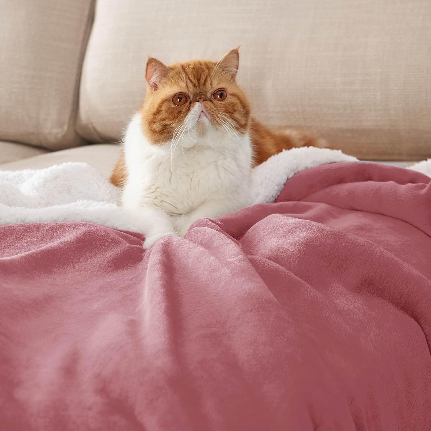 Detalle 2 de Bedsure Sherpa Fleece Blanket Twin