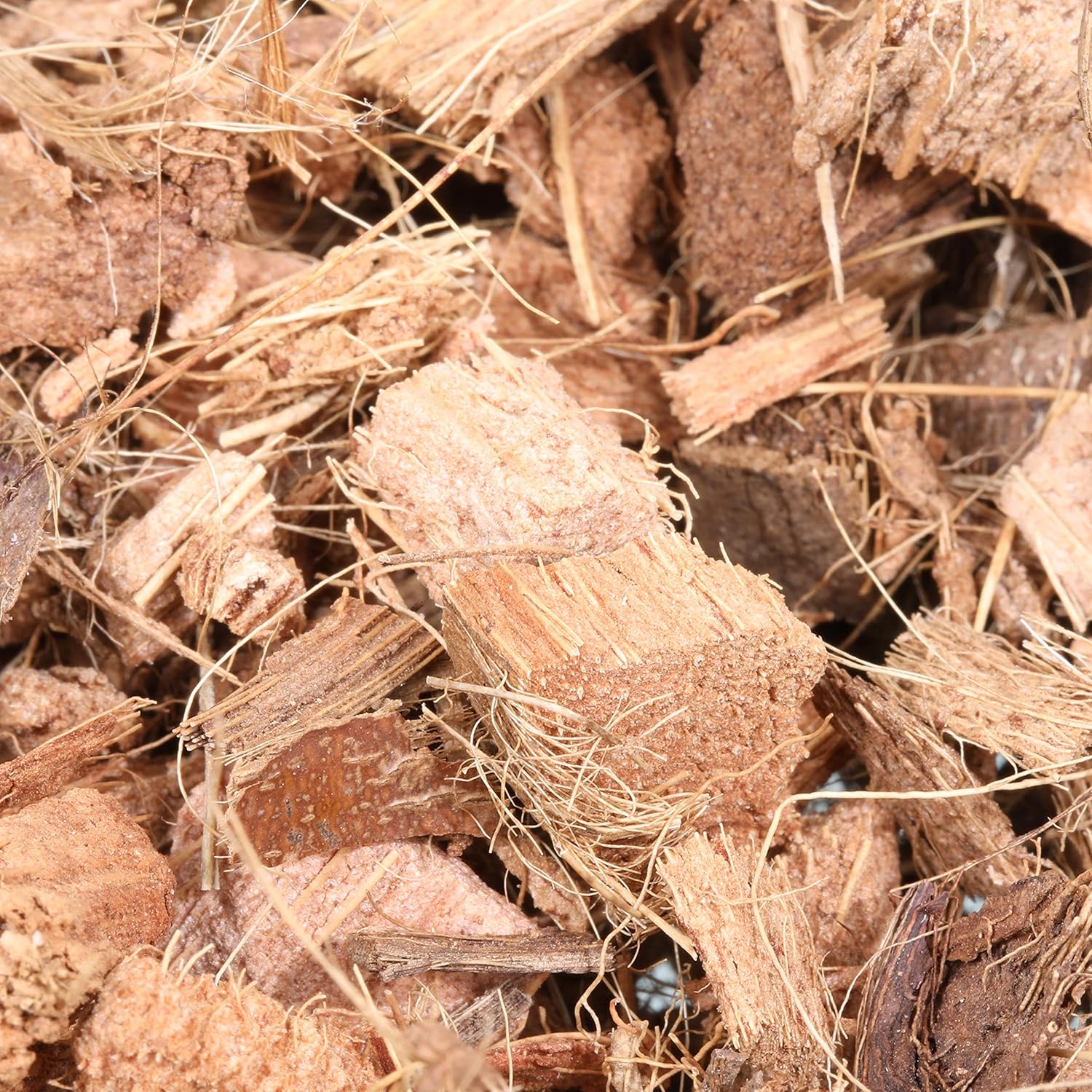 Thumbnail 3 de JBL TerraCoco Bodengrund mit Kokoschips für Terrarien – 5 l